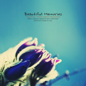 아름다운 추억 (Beautiful memories)