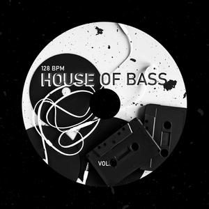MEGA FUNK HOUSE OF BASS (Explicit)