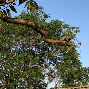 《其实都没有》~1