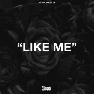 Like Me (Explicit)