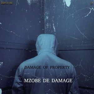 Damage of Property (Chapter One)