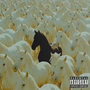 NORMAL II (Explicit)