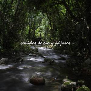 Sonidos de Río y Pájaros, Pt. 14