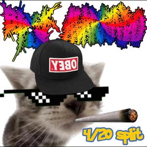 TOM GREENS A NECROZOOPHILE (Ax) (Explicit)