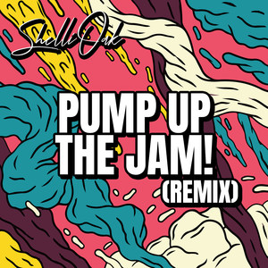 Pump up the Jam! (Remix)