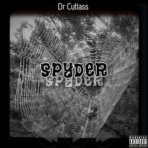 SPYDER (single|Explicit)