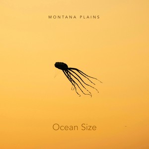 Ocean Size