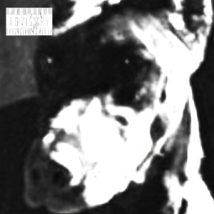 dogfood (Explicit)