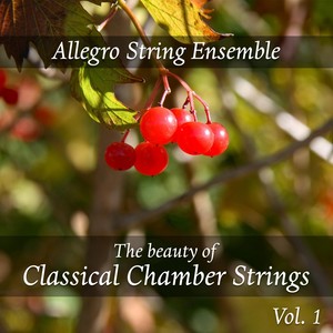 The Beauty of Classical Chamber Strings, Vol. 1