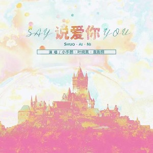 说爱你