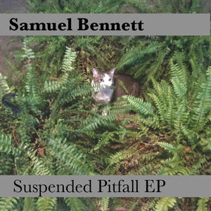 Suspended Pitfall EP