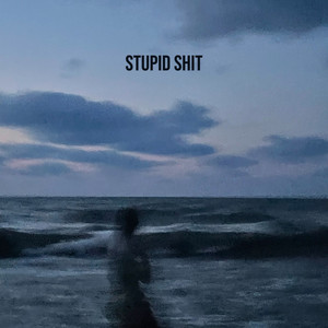 STUPID **** (Explicit)