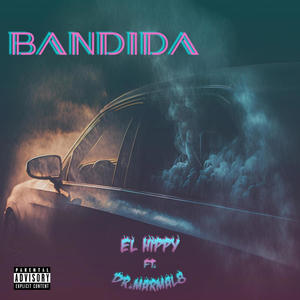 Bandida (feat. Dr. Marmal8) [Explicit]