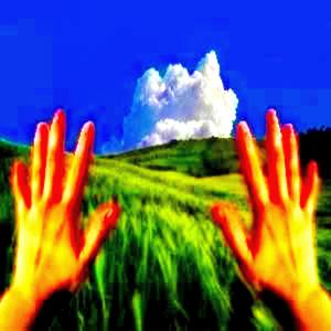 suicide is the answer for the most part