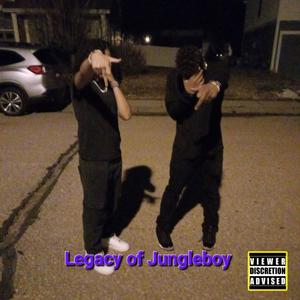 BKØ YPSFAYGO - Legacy of Jungleboy (Explicit)