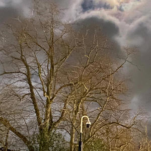 onlylight (Explicit)