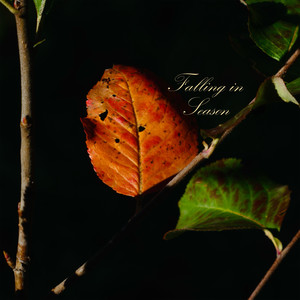 Falling in Season