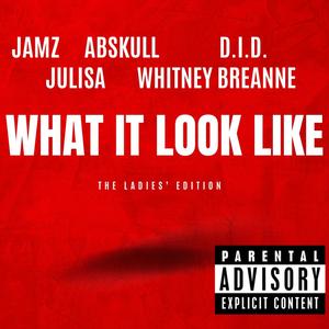 What It Look Like (The Ladies' Edition) (feat. Abskull, D.I.D., Julisa & Whitney Breanne) [Explicit]