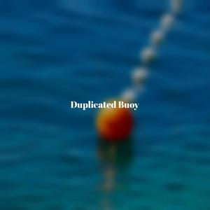 Duplicated Buoy