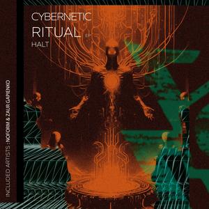 Cybernetic Ritual (Noform Remix)