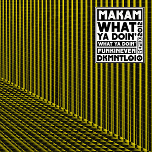 What Ya Doin' (Funkineven Remix)