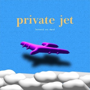 private jet