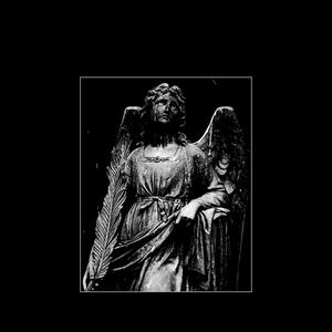 knew me (feat. TripSevv & probdead) (Explicit)