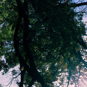 ZOMBIFIED (the backyard mom’s remix)