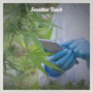 Sensitive Touch