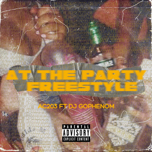 At the Party Freestyle (Explicit)