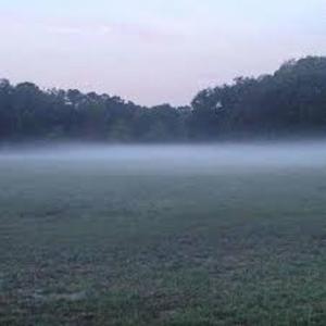 tellmeilookgorgeouswontyou