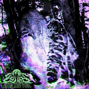 I No Longer Feel (Explicit)