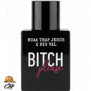 ***** Please (feat. Big Val) (Explicit)