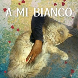 A Mi Bianco