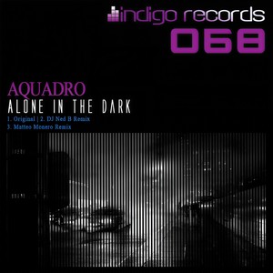 Alone In The Dark (DJ Ned B Remix)