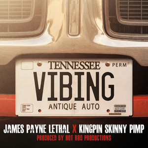VIBING(feat. Kingpin Skinny Pimp) (Explicit)