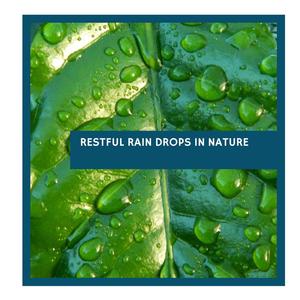 Restful Rain Drops in Nature