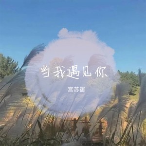 当我遇见你 (Live)