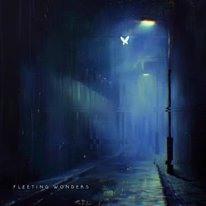 Fleeting Wonders