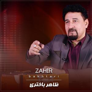 Deshab (feat. Shaheen Salmani)