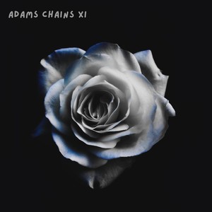 Warrior Experience (Remix)