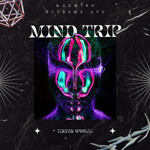 Mind Trip (feat. Khemics)