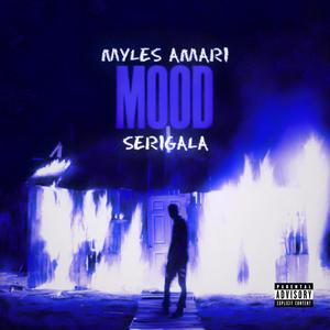 MOOD (feat. Myles Amari) [Explicit]