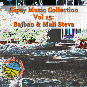 Gipsy Music Collection Vol. 15