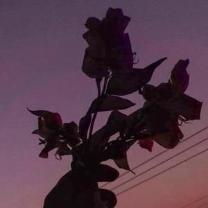 What I'm Supposed to Do?(feat. Cisco Villa & Caine) (Explicit)