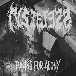PAYING FOR AGONY(feat. TWENTYTHREE) (Explicit)
