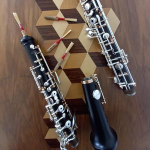 Divertimento No. 5, K. 229 - V. Polonaise