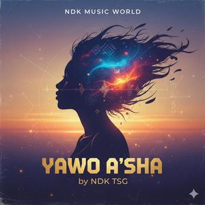 AMARYA YOU NO BE LOCAL