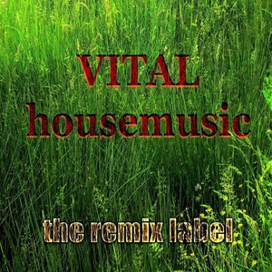 Vital Housemusic (Hot Various Artists Proghouse Music Compilation)