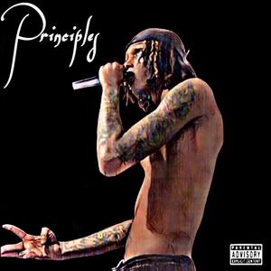 Principles (Explicit)